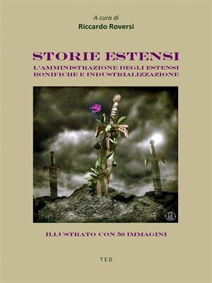 cover image of Storie estensi